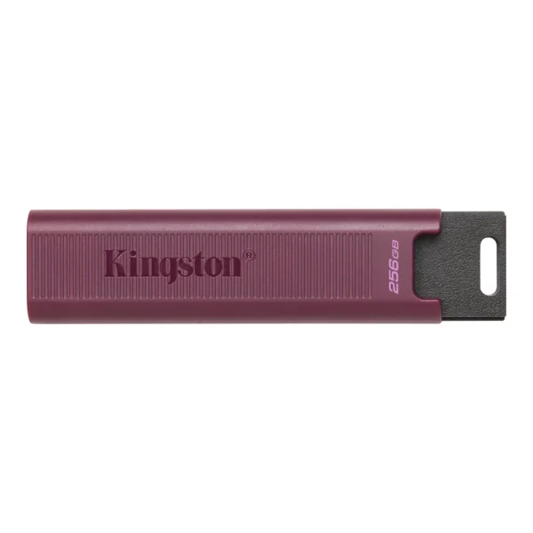 256 GB FLASH DRIVE (Flash Drive) KINGSTON