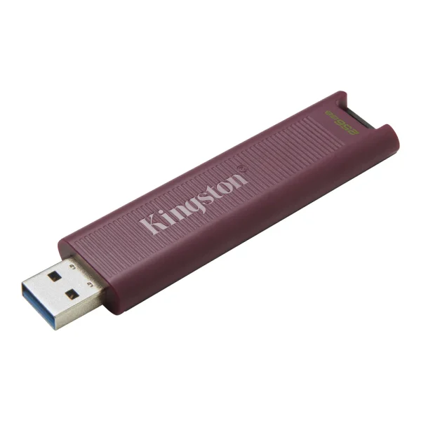 256 GB FLASH DRIVE (Flash Drive) KINGSTON